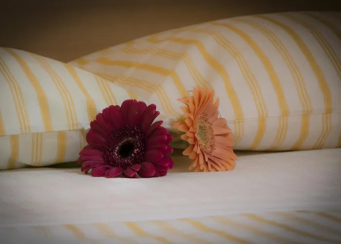 Bed & Breakfast On The Rainbow