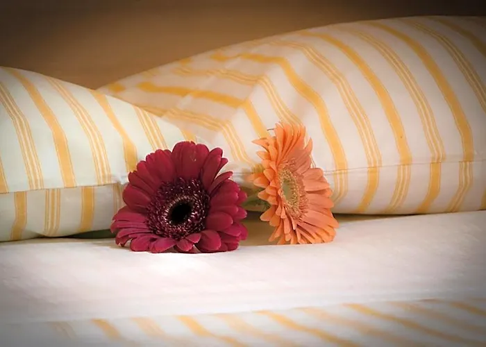 Bed & Breakfast On The Rainbow 4*